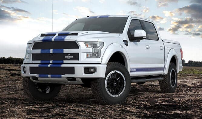 Shelby F-150 Offroad weiß mit blauen Streifen auf dem Acker