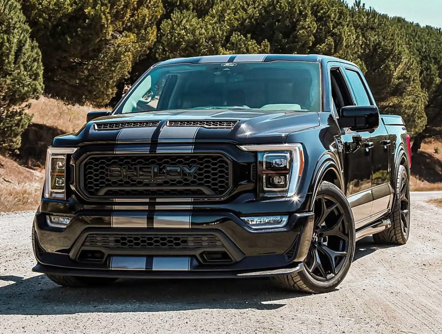 F150 Shelby schwarz front