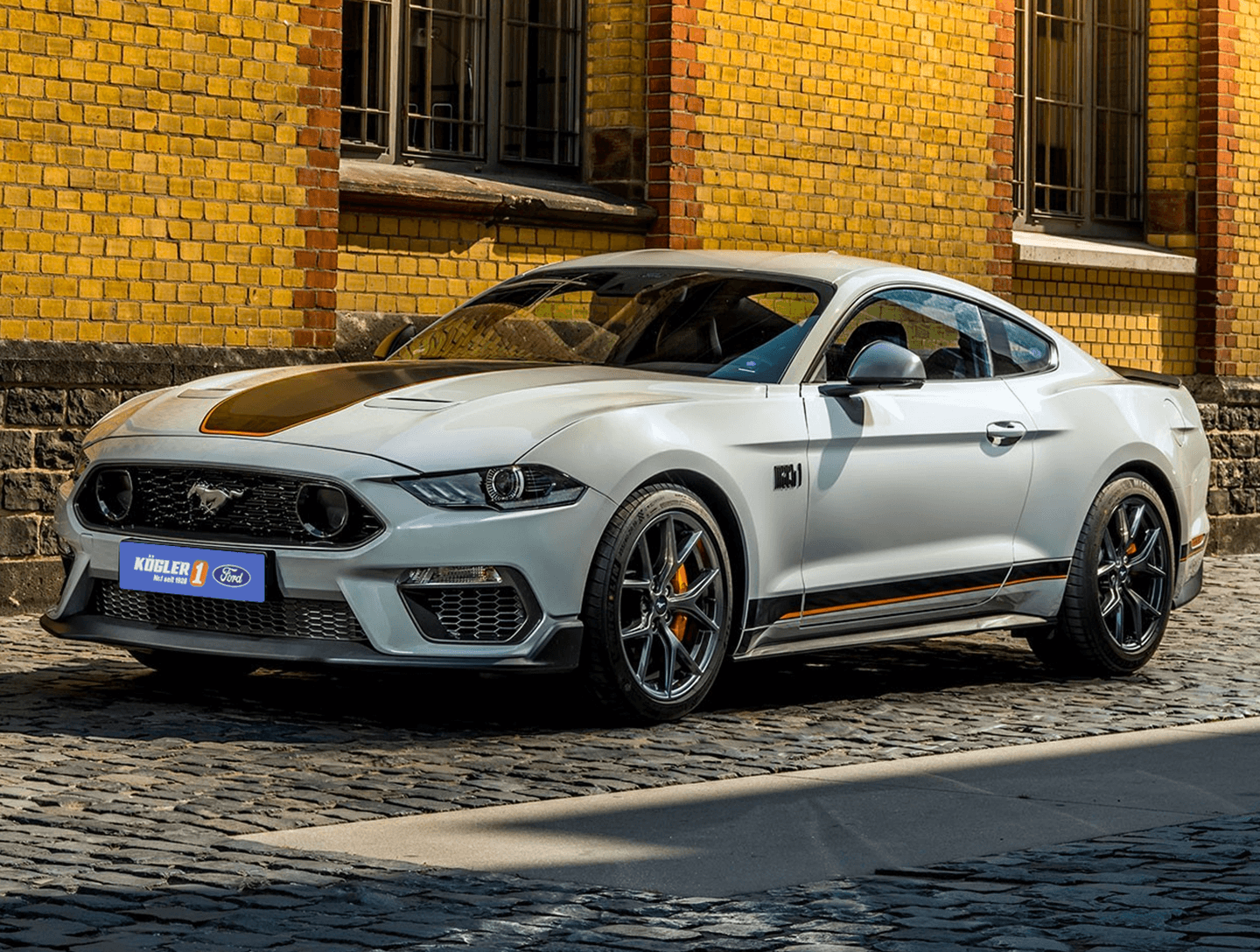 Was Ist Ein Mustang