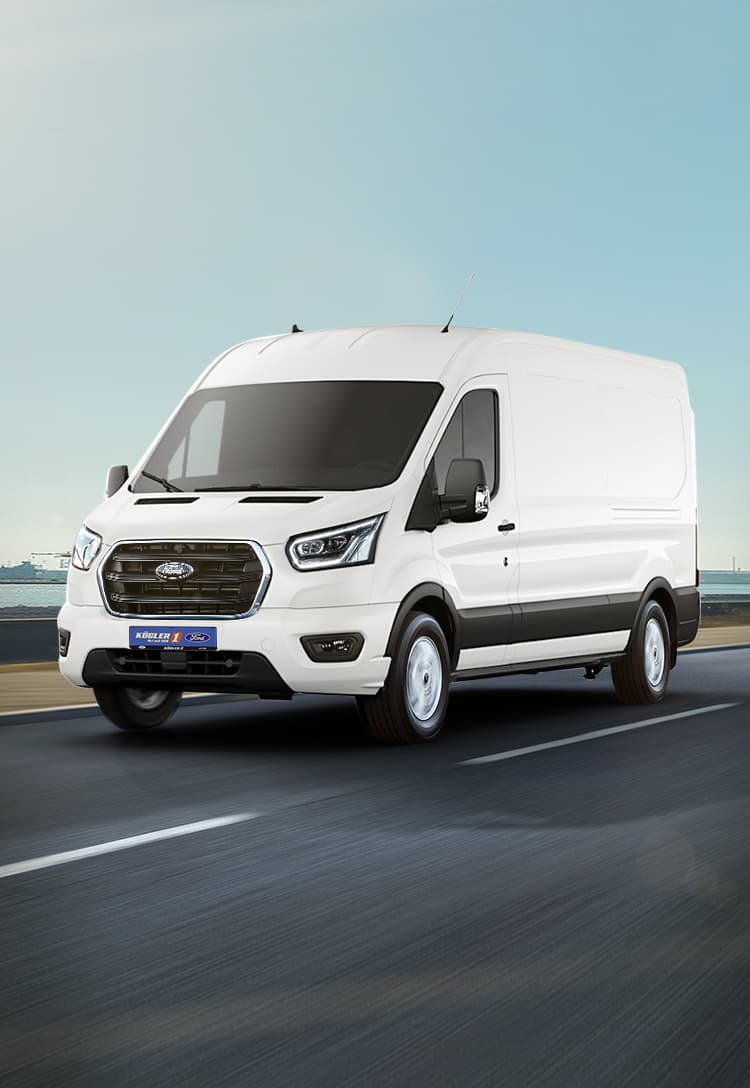 Ford Transit Kasten