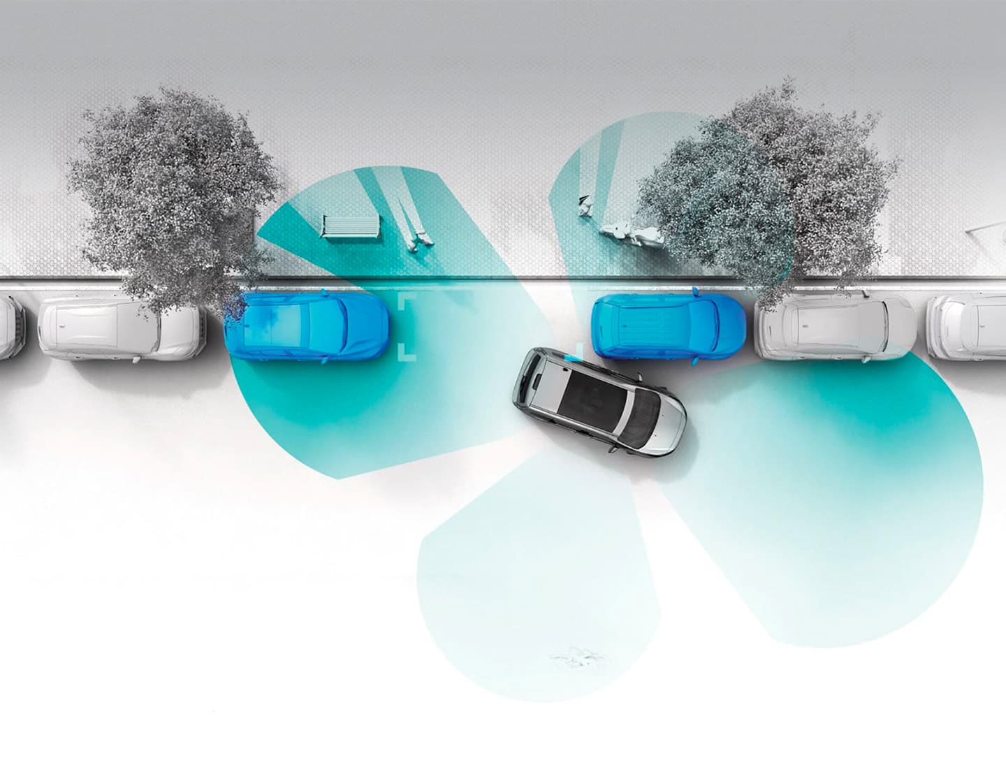 Ford Tourneo Connect oben parken