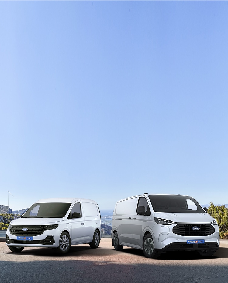 Schone Ford Transit Modelle Ebenbild