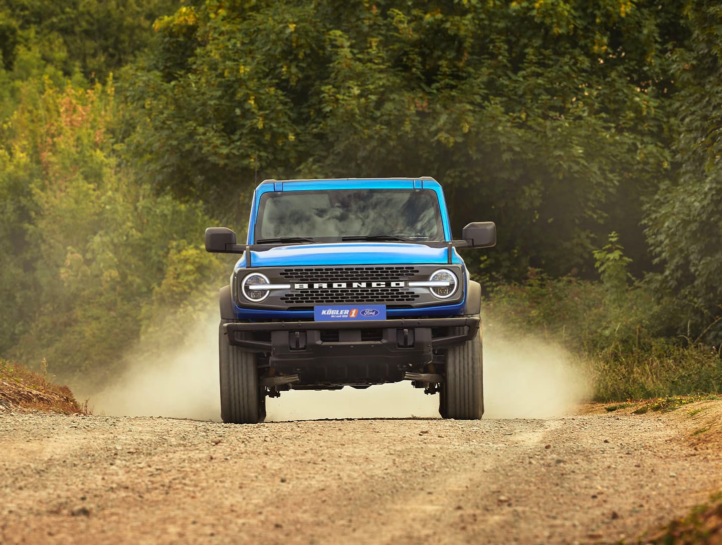 Der Motor des Ford Bronco
