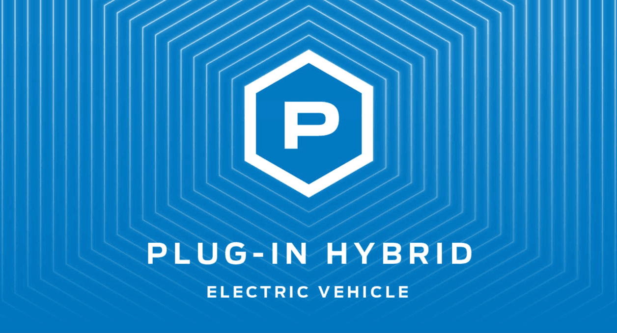 Plugin-Hybrid