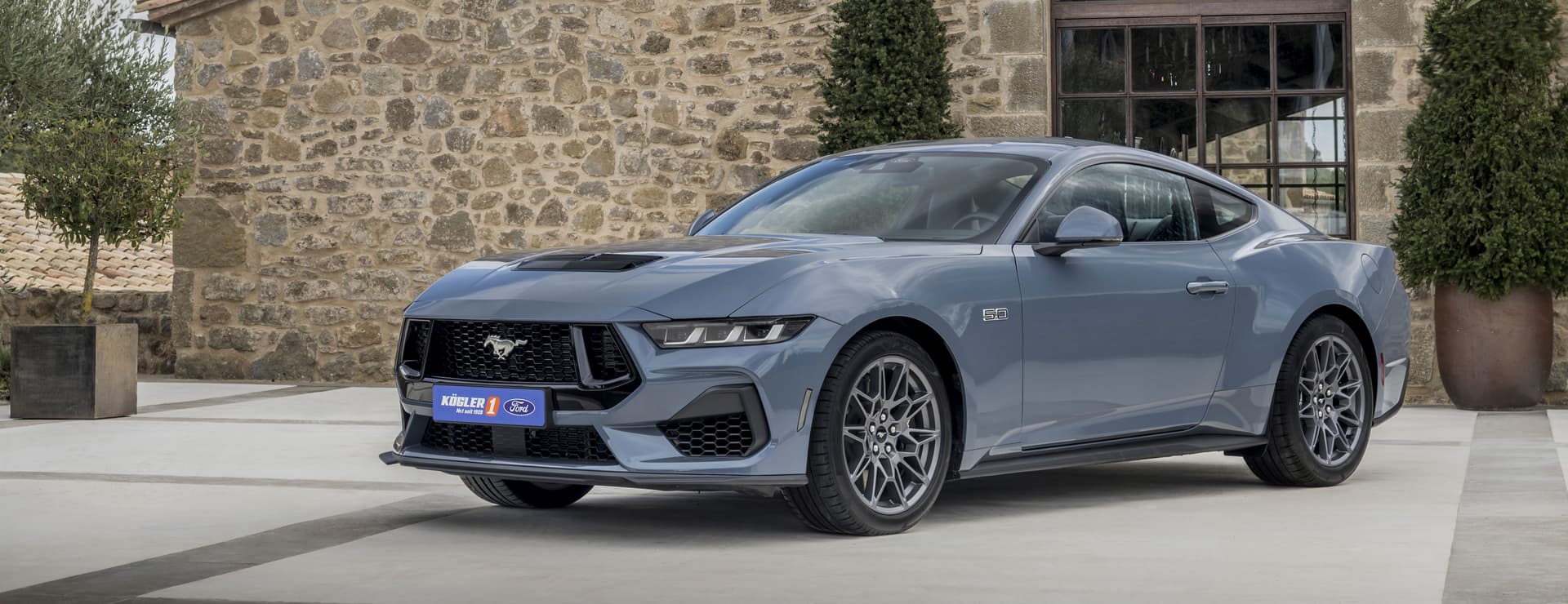Überblick für den Ford Mustang GT